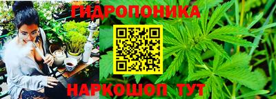 трава Канаш