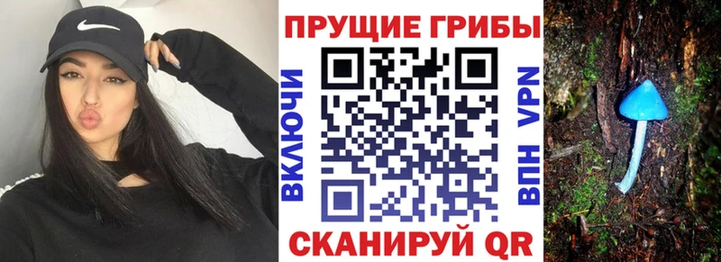 Псилоцибиновые грибы мицелий  магазин  наркотиков  Октябрьский 